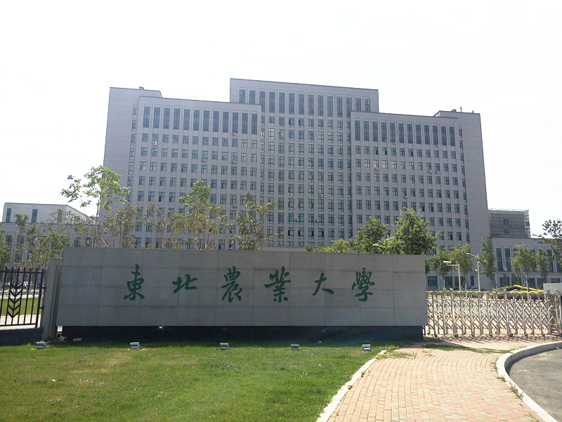 東北農業大學_副本_副本.jpg